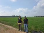 ลงพื้นที่ตรวจสอบพื้นที่ปลูกข้าวตำบลป่าระกำเนื่องจากภาวะฝนแล้